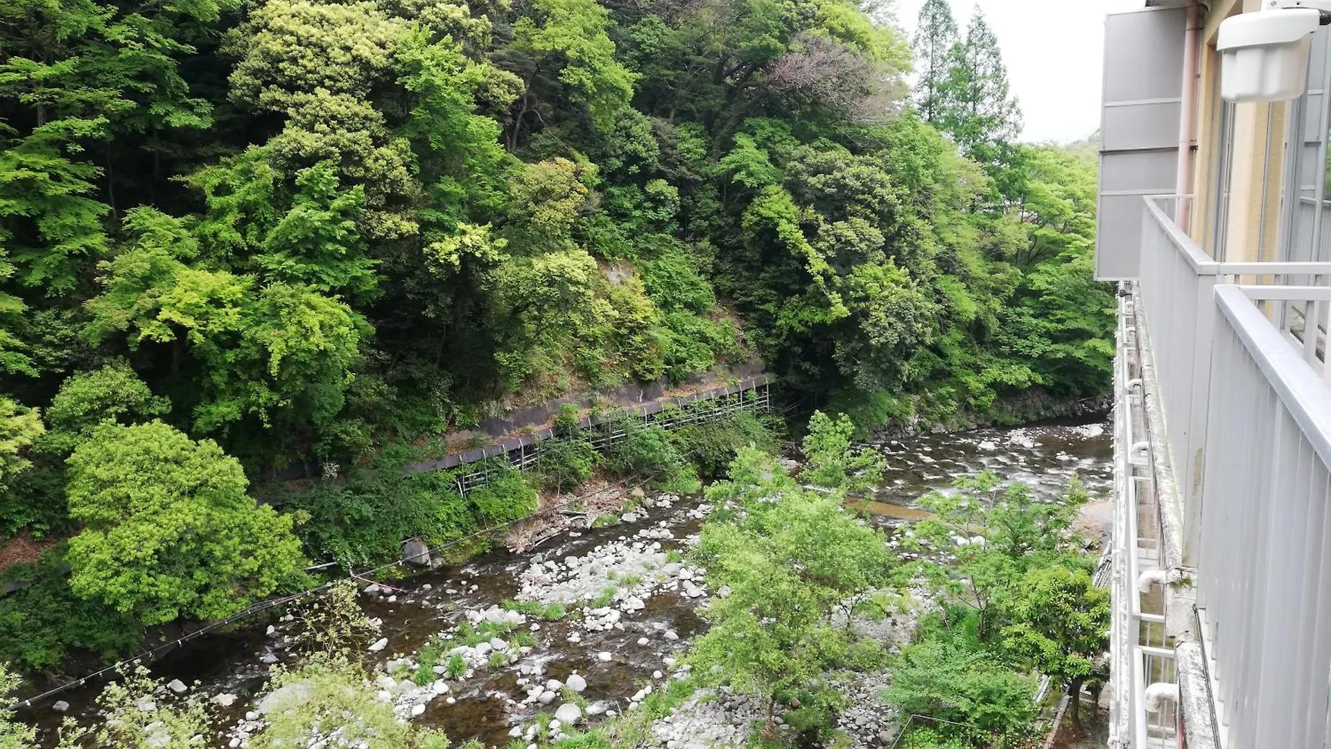 Hotel Hakone Pax Yoshino 4*,